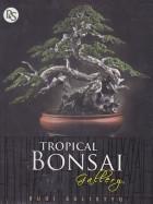 Tropical Bonsai Gallery